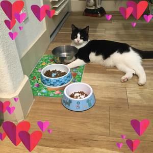 Meet your Posher, Dawn